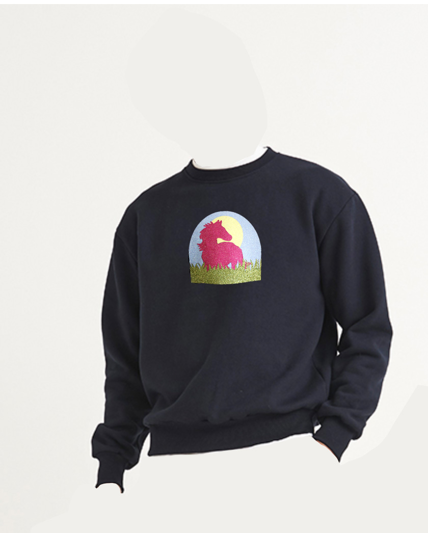 Sweat Cheval - Paillettes