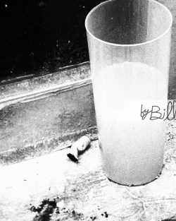 photographie prise lors de la féria de Nîmes. Gros plan sur les fêtards